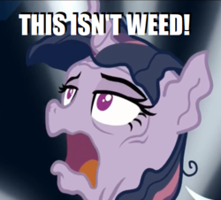 Size: 449x405 | Tagged: safe, edit, edited screencap, screencap, mean twilight sparkle, pony, g4, the mean 6, caption, cropped, dialogue, drugs, dying, female, image macro, lies, mare, marijuana, meme, open mouth, shaggy this isn't weed, solo, you ruined everything