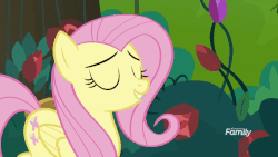 Size: 806x454 | Tagged: safe, screencap, fluttershy, pinkie pie, g4, the mean 6, animated, female, flower, forest, gif, jumpscare, panting, rose, scared