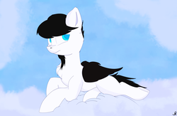 Size: 3522x2300 | Tagged: safe, artist:dazzleflashy, oc, oc only, oc:snietzl, pegasus, pony, cloudsdale, high res, solo
