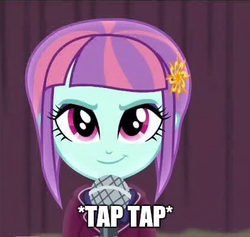 Size: 386x366 | Tagged: safe, edit, edited screencap, screencap, sunny flare, equestria girls, g4, cropped, female, image macro, looking at you, meme, microphone, solo