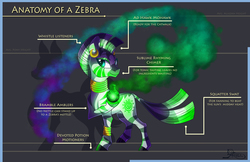 Size: 3400x2200 | Tagged: safe, artist:ghostlymuse, zecora, pony, zebra, g4, anatomy, anatomy guide, ear piercing, earring, female, high res, jewelry, leg rings, looking at you, mare, neck rings, piercing, rhyme, sequence, solo, text