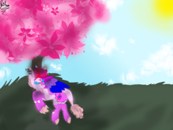 Size: 966x722 | Tagged: safe, oc, oc:fuchsia flame, art, butt, cherry blossoms, claws, cloud, drgogriff, eyes closed, female, grass, hippogriff hybrid, horn, long tail, markings, piercing, plot, shading, sky, sleeping, sun, tree