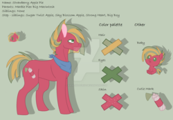 Size: 1024x711 | Tagged: safe, artist:kiralindocruz, oc, oc only, oc:strawberry apple pie, earth pony, pony, baby, baby pony, base used, freckles, green background, male, neckerchief, offspring, parent:big macintosh, parent:marble pie, parents:marblemac, reference sheet, simple background, solo, stallion, story included, watermark