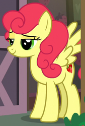 Size: 375x554 | Tagged: safe, screencap, strawberry sunrise, pegasus, pony, g4, honest apple, cropped, door, female, lidded eyes, mare, solo, strawberry savage