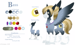 Size: 1505x905 | Tagged: safe, artist:tambelon, oc, oc only, oc:bedtime story, oc:treble, classical hippogriff, hippogriff, blaze (coat marking), coat markings, facial markings, feathered fetlocks, male, piebald coat, ponysona, reference sheet, rule 63, socks (coat markings), solo, spread wings, wings