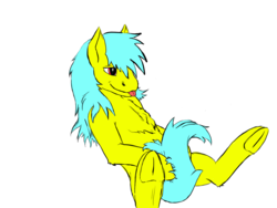 Size: 1600x1200 | Tagged: safe, artist:chickengoddess, oc, oc only, oc:golden rule, earth pony, pony, blue mane, chest fluff, covering, cute, fluffy, frog (hoof), on back, red eyes, tail covering, tongue out, underhoof