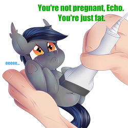 Size: 2000x2000 | Tagged: safe, alternate version, artist:donutnerd, oc, oc:echo, bat pony, pony, bat pony oc, crying, eeee, fat, food baby, high res, holding a pony, hooves to the chest, legs in air, not pregnant, obese, offscreen character, round, rude humor, sad, smol, ultrasound