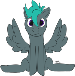 Size: 3982x4048 | Tagged: safe, artist:zephyr rose, oc, oc only, oc:zephyr rose, pegasus, pony, blue hair, cute, cutie, front facing, full body, looking at you, male, qt, simple background, sitting, solo, stallion, transparent background, wings
