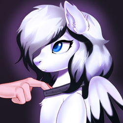 Size: 2000x2000 | Tagged: safe, artist:yasuokakitsune, oc, oc only, oc:swift ghost, human, pegasus, pony, collar, commission, hand, high res, solo focus, ych result