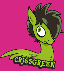 Size: 531x584 | Tagged: safe, artist:lilpinkghost, oc, oc only, bat pony, pony, bat pony oc, green eyes, pink background, pinkghost, request, requested art, simple background, solo