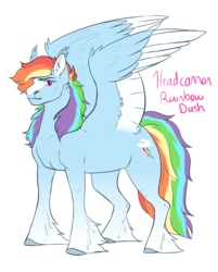 Size: 963x1200 | Tagged: safe, artist:obscuredflower, rainbow dash, pegasus, pony, g4, colored wings, cutie mark, female, multicolored wings, simple background, solo, spread wings, transparent background, unshorn fetlocks, wings