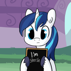 Size: 1650x1650 | Tagged: safe, artist:tjpones, shining armor, pony, unicorn, g4, :|, fun couples game meme, holding sign, infertility, juxtaposition, looking at you, male, sign, solo, unshorn fetlocks