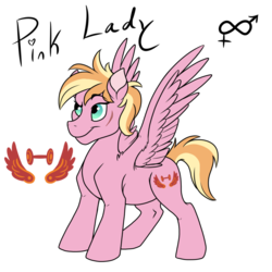 Size: 800x800 | Tagged: safe, artist:pampoke, oc, oc only, oc:pink lady, pegasus, pony, female, mare, offspring, parent:big macintosh, parent:fluttershy, parents:fluttermac, simple background, solo, transparent background