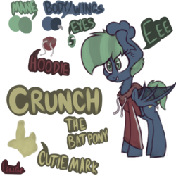 Size: 3000x3000 | Tagged: safe, artist:claudearts, oc, oc only, oc:crunch, bat pony, pony, clothes, cutie mark, eeee, high res, hoodie, reference sheet, signature, simple background, solo, transparent background, transparent wings