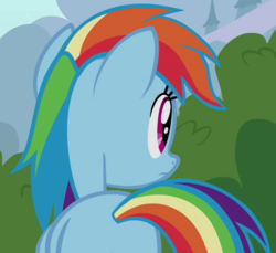 Size: 523x480 | Tagged: safe, screencap, rainbow dash, pegasus, pony, g4, it ain't easy being breezies, bush, butt, cropped, female, folded wings, mare, plot, solo