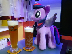 Size: 4608x3456 | Tagged: safe, twilight sparkle, alicorn, pony, g4, alcohol, beer, drink, irl, photo, plushie, twilight sparkle (alicorn), waifu dinner