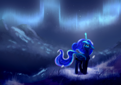 Size: 3508x2480 | Tagged: safe, artist:worldlofldreams, princess luna, alicorn, pony, g4, aurora borealis, female, floppy ears, glowing horn, high res, horn, looking up, magic, mare, night, solo
