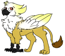 Size: 2280x1976 | Tagged: safe, artist:euspuche, oc, oc:marina too, griffon, looking at you, simple background, white background