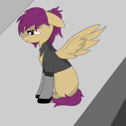Size: 1200x1200 | Tagged: safe, oc, oc only, oc:fiely, pony, clothes, female, firealpaca, ponytail, sitting, socks, solo, spread wings, wings