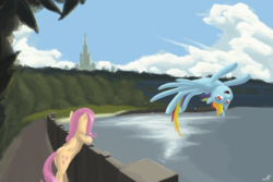 Size: 6000x4000 | Tagged: safe, artist:madgehog, fluttershy, rainbow dash, pegasus, pony, g4, female, happy, mare, moscow, nature, russia, sky