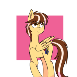Size: 1000x1000 | Tagged: safe, artist:vickpaints, oc, oc only, pegasus, pony, male, original character do not steal, simple background, solo, stallion, transparent background