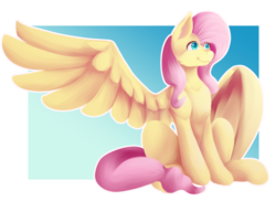 Size: 1024x747 | Tagged: safe, artist:diablediablo, fluttershy, pegasus, pony, g4, female, gradient background, mare, simple background, solo, transparent background