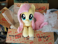 Size: 3264x2448 | Tagged: safe, artist:buttercupbabyppg, artist:element0fkindness, fluttershy, pony, g4, box, cute, flutterbox, high res, irl, looking at you, photo, plushie, pony in a box, shyabetes, toy, weapons-grade cute