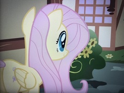 Size: 4032x3024 | Tagged: safe, screencap, fluttershy, pegasus, pony, g4, party of one, butt, cropped, female, mare, plot, smiling, solo