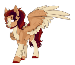 Size: 1929x1674 | Tagged: safe, pegasus, pony, male, simple background, solo, stallion, two toned wings, white background