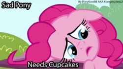 Size: 825x464 | Tagged: safe, artist:koreyexpress2, edit, edited screencap, screencap, pinkie pie, earth pony, pony, g4, too many pinkie pies, female, image macro, mare, meme, sad pony, solo