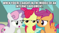 Size: 600x337 | Tagged: safe, edit, edited screencap, screencap, apple bloom, scootaloo, sweetie belle, earth pony, pegasus, pony, unicorn, g4, surf and/or turf, annoyed, cutie mark crusaders, female, filly, image macro, meme