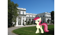 Size: 960x540 | Tagged: safe, roseluck, earth pony, pony, g4, female, irl, mansion, mare, newport, photo, ponies in real life, rhode island