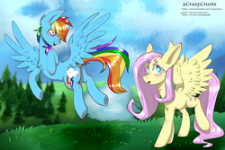 Size: 3000x2000 | Tagged: safe, artist:xcrazycrustx, fluttershy, rainbow dash, pegasus, pony, g4, cutie mark, duo, female, flying, hair over one eye, high res, mare, open mouth, scenery, spread wings, wings