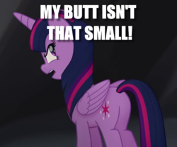 Size: 737x611 | Tagged: safe, edit, edited screencap, screencap, twilight sparkle, alicorn, pony, g4, my little pony: the movie, blatant lies, butt, caption, cropped, denial, female, folded wings, image macro, looking back, meme, plot, solo, twilight sparkle (alicorn), unamused