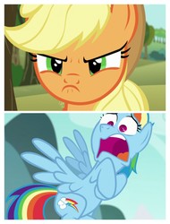 Size: 3106x4096 | Tagged: safe, screencap, applejack, rainbow dash, g4, my little pony: friendship is magic, no second prances, crossing the memes, meme