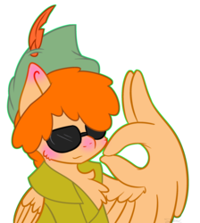 Size: 1024x1141 | Tagged: safe, artist:leanne264, pegasus, pony, peter pan, ponified, simple background, solo, sunglasses, transparent background, wing hands