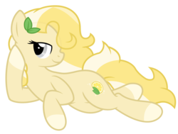Size: 4026x3045 | Tagged: safe, artist:blue-vector, oc, oc only, oc:radler, pony, bedroom eyes, draw me like one of your french girls, female, simple background, solo, transparent background, vector