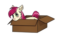 Size: 2496x1504 | Tagged: artist needed, safe, roseluck, earth pony, pony, g4, behaving like a cat, blushing, box, cheek fluff, collar, commissioner:doom9454, cute, digital art, ear fluff, female, fluffy, lying, lying down, mare, pony in a box, pony pet, rosepet, simple background, solo, white background