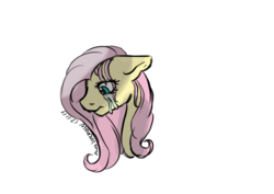 Size: 1024x724 | Tagged: safe, artist:aurasinchaser, fluttershy, pony, g4, bust, crying, female, portrait, simple background, solo, transparent background