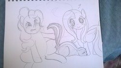 Size: 1280x719 | Tagged: safe, artist:fawkesi, fluttershy, pinkie pie, pegasus, pony, skunk, g4, animal, blushing, clothespin, female, mare, sketch, smelly, smiling, traditional art