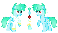 Size: 1972x1120 | Tagged: dead source, safe, artist:rainbows-skies, oc, oc only, oc:water star, alicorn, pony, clothes, reference sheet, simple background, solo, sweater, transparent background