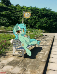Size: 1538x2000 | Tagged: safe, artist:orang111, lyra heartstrings, pony, unicorn, g4, bench, bus stop, drink, female, fluffy, irl, korean, looking at you, mare, meme, photo, ponies in real life, real life background, sitting, sitting lyra, solo, straw