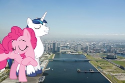 Size: 900x600 | Tagged: safe, artist:jerryakira79, pinkie pie, shining armor, pony, unicorn, g4, earth, female, giant ponies in real life, giant pony, irl, macro, male, photo, ponies in real life, tokyo