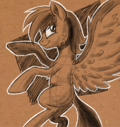 Size: 1024x1087 | Tagged: safe, artist:ravvij, rainbow dash, pegasus, pony, g4, attitude, cheek fluff, cute, female, flying, mare, midtone, missing cutie mark, monochrome, outline, pencil, pose, sketch, solo, wings