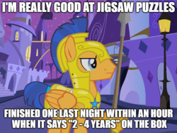 Size: 800x600 | Tagged: safe, flash sentry, pony, g4, exploitable meme, idiot sentry, image macro, jigsaw, jigsaw puzzle, male, meme, solo