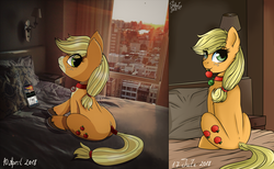 Size: 4613x2835 | Tagged: safe, artist:php97, applejack, pony, g4, apple, bed, city, collar, cute, cutie mark, ear fluff, female, food, freckles, iphone, iphone x, irl, looking at you, looking back, looking back at you, mouth hold, offscreen character, pet, pet tag, photo, ponies in real life, pony pet, remake, sitting, smartphone, solo, tail, tail wrap, tumblr