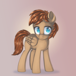 Size: 2000x2000 | Tagged: safe, artist:anonbelle, oc, oc only, oc:atlas66, pegasus, pony, commission, high res
