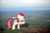 Size: 2048x1360 | Tagged: safe, artist:jerryakira79, artist:rainbowrage12, roseluck, earth pony, pony, g4, eyes closed, female, flower, giant pony, highrise ponies, irl, macro, mare, photo, ponies in real life, solo