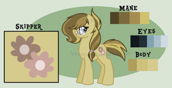 Size: 1024x530 | Tagged: safe, artist:ipandacakes, oc, oc only, oc:skipper, earth pony, pony, female, glasses, mare, offspring, parent:derpy hooves, parent:doctor whooves, parents:doctorderpy, reference sheet, solo