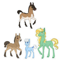 Size: 3000x3000 | Tagged: safe, artist:jackiebloom, earth pony, horse, pony, coat markings, headcanon, high res, long description, przewalski's horse, raised hoof, simple background, tail wrap, transparent background